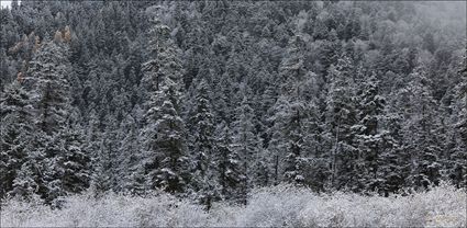 Jiuzhaigou National Park - China T (PBH4 00 15731)